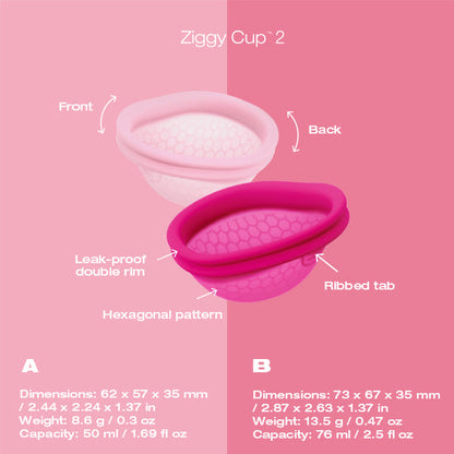 Ziggy Cup 2 Size B