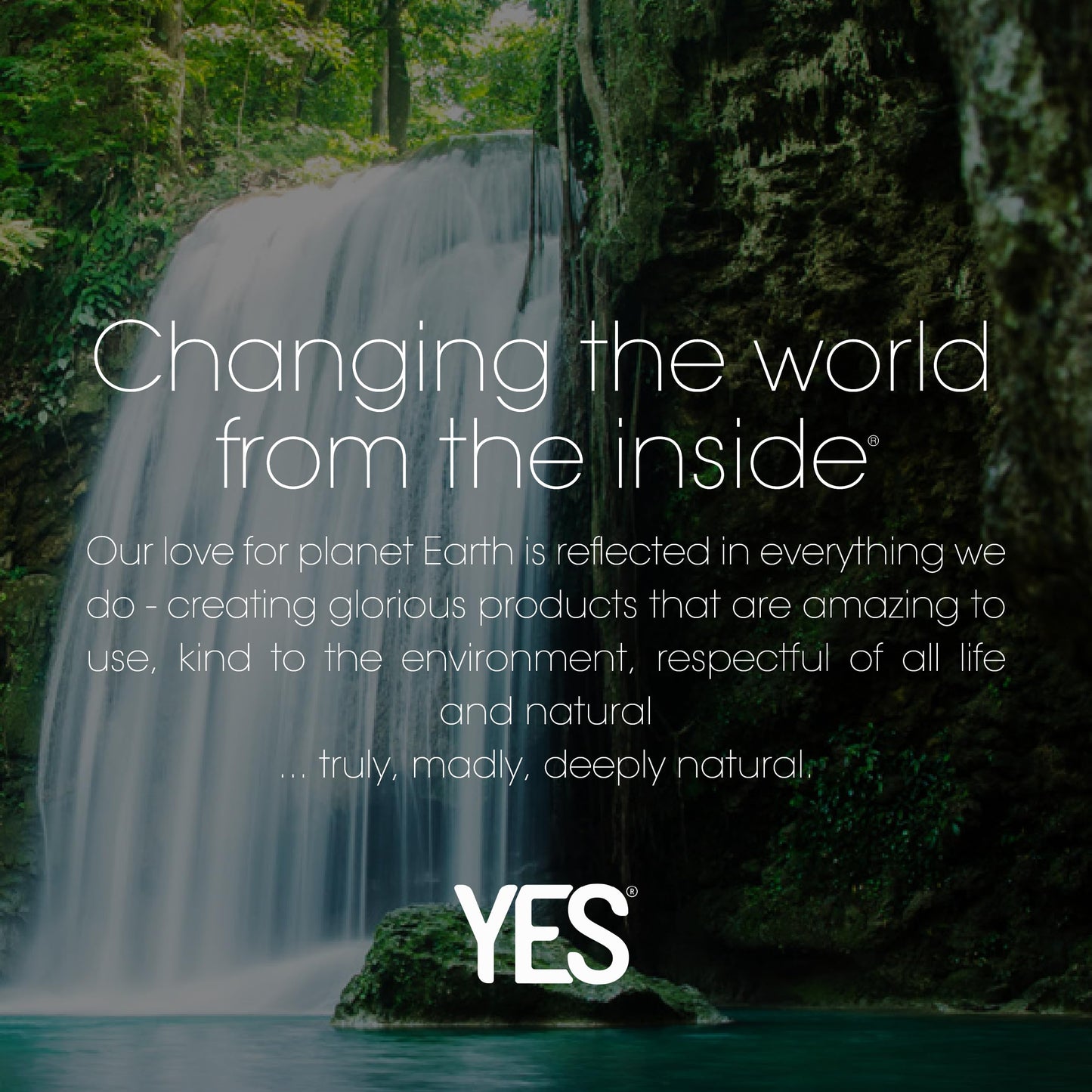 YES Vaginal Moisturizer Gel Applicators