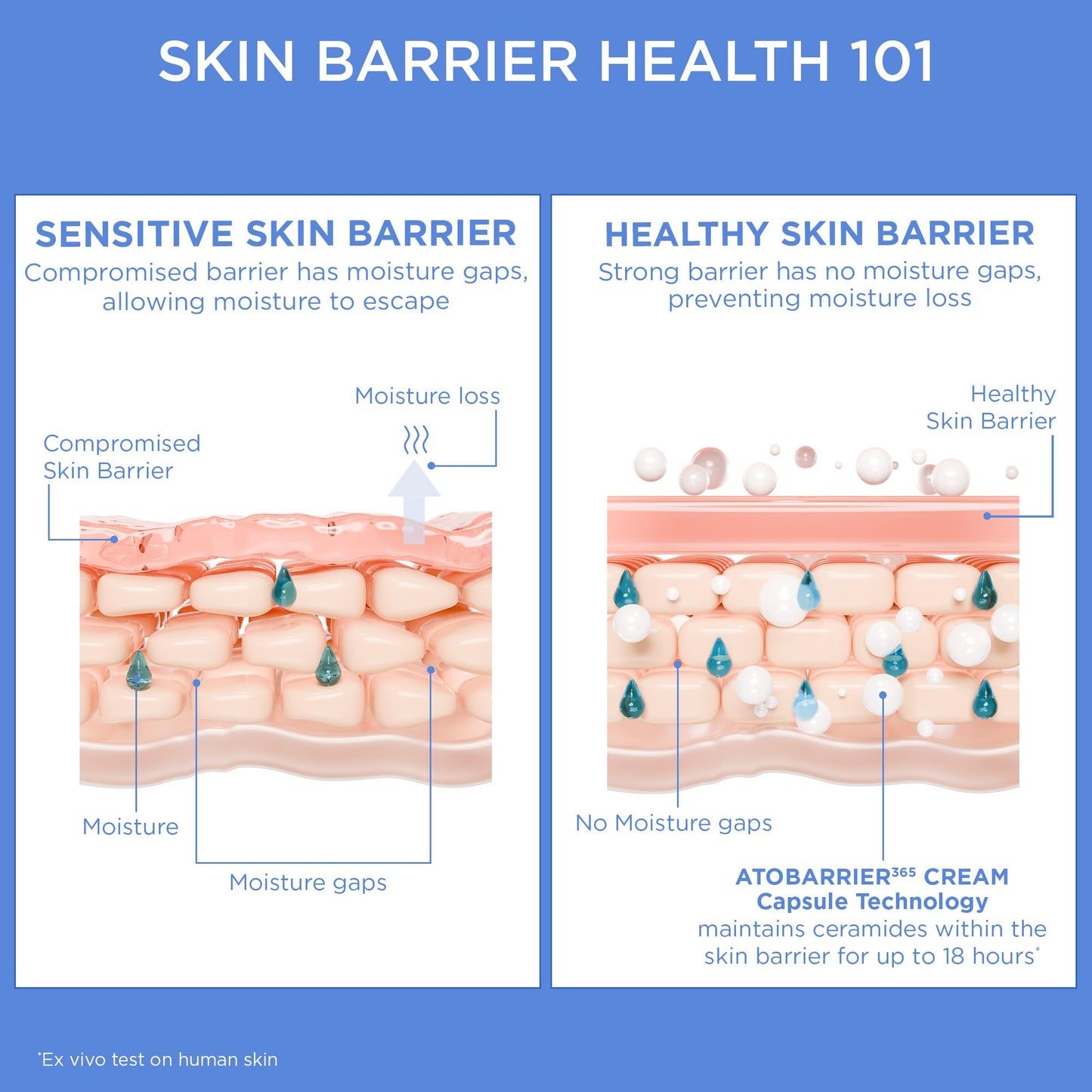 AESTURA ATOBARRIER365 Cream with Ceramide, Korean Moisturizer for Barrier Repair | 120-hour Lasting Hydration, Capsuled Ceramides for Dry & Sensitive Skin, Non-comedogenic tested, 2.70 fl.oz.(Renewed)